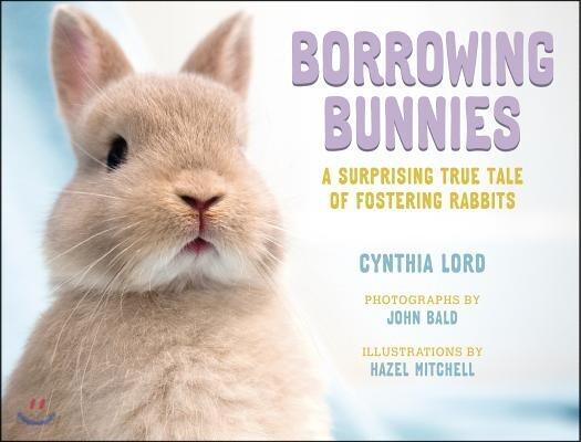 Borrowing Bunnies: A Surprising True Tale of Fostering Rabbits (Hardcover)