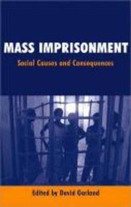  Mass Imprisonment: Social Causes and Consequences (Paperback)