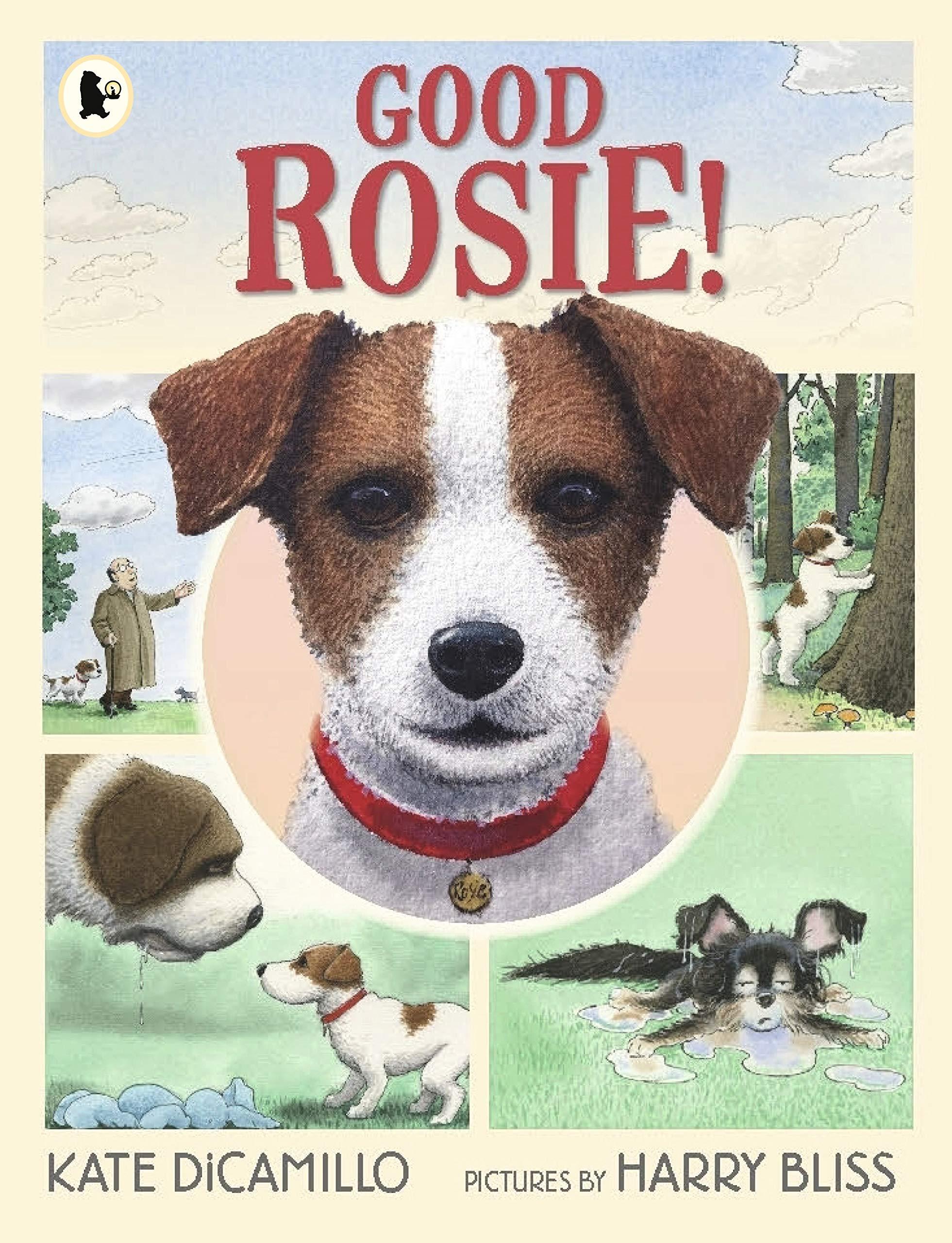  Good Rosie! (Paperback)