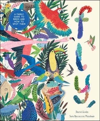  Fly: A Family Guide to Birds and How to Spot Them (Hardcover)