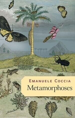  Metamorphoses (Paperback)