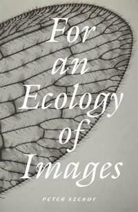  For an Ecology of Images (Paperback)