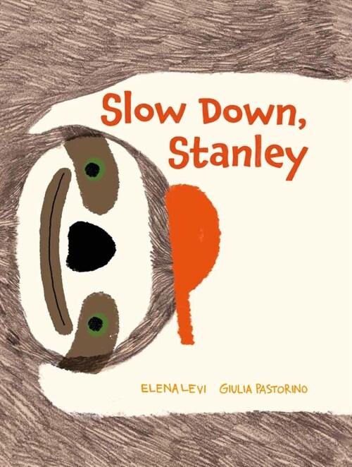  Slow Down, Stanley (Hardcover)