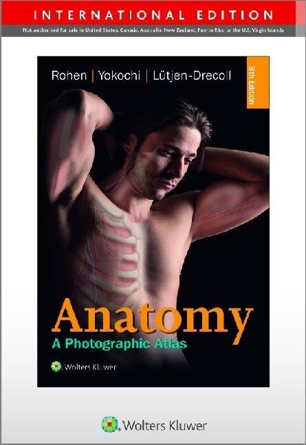 Anatomy (Paperback)