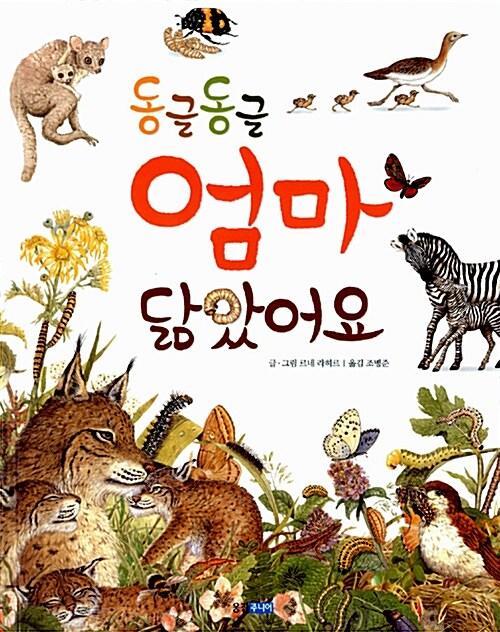  동글동글 엄마 닮았어요