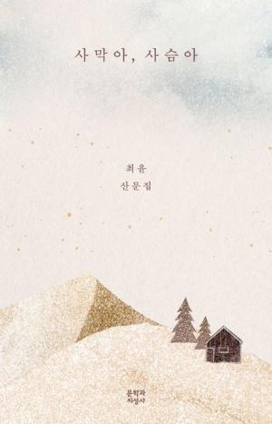  [큰글자도서] 사막아, 사슴아