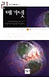  메가넷