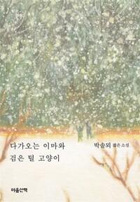  다가오는 이마와 검은 털 고양이