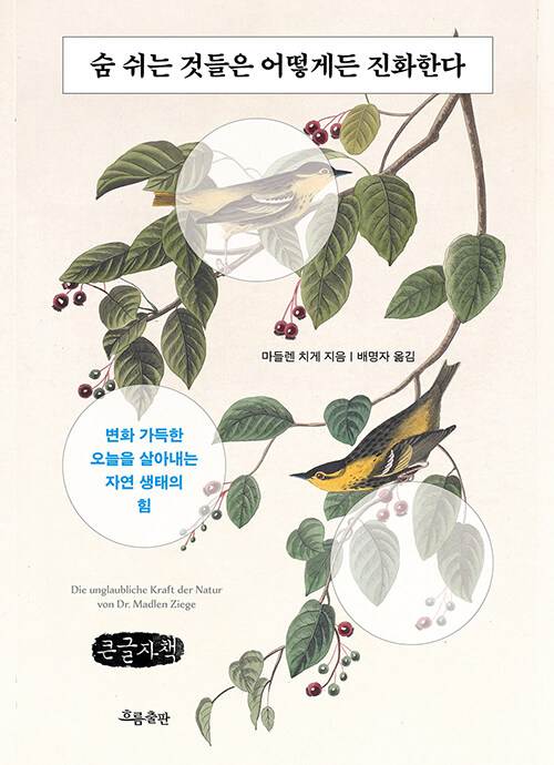  [큰글자책] 숨 쉬는 것들은 어떻게든 진화한다