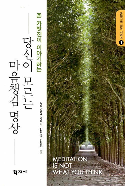  당신이 모르는 마음챙김 명상
