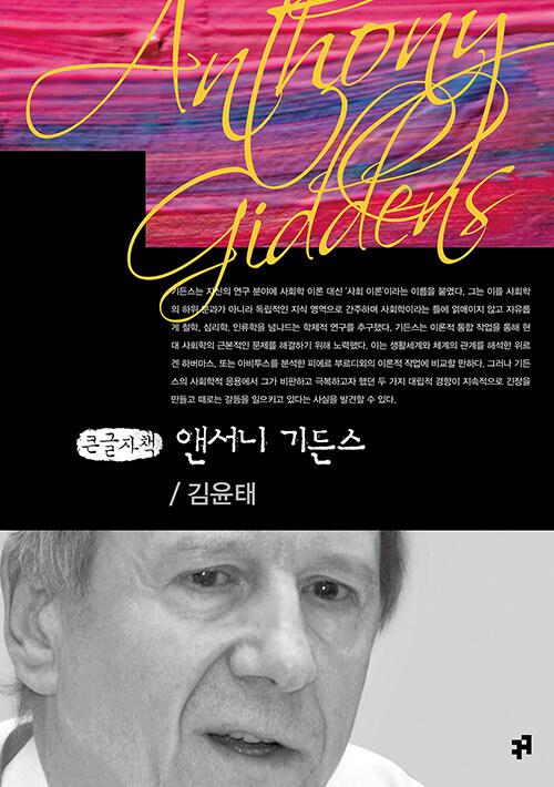  [큰글씨책] 앤서니 기든스