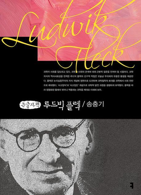  [큰글자책] 루드빅 플렉