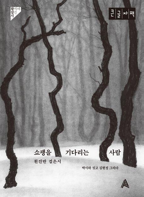  [큰글자책] 쇼팽을 기다리는 사람