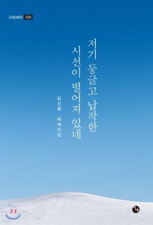  저기 둥글고 납작한 시선이 떨어져 있네