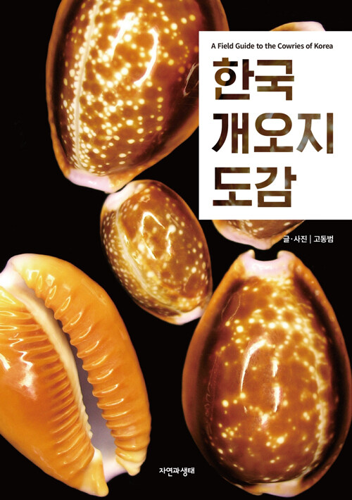 한국 개오지 도감