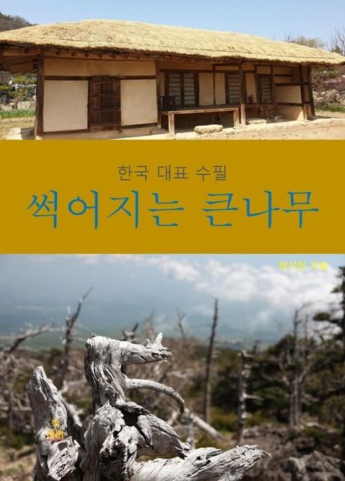  썩어지는 큰 나무