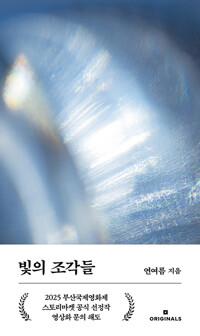  빛의 조각들