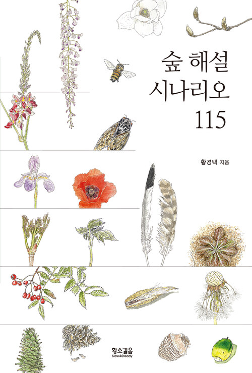  숲 해설 시나리오 115