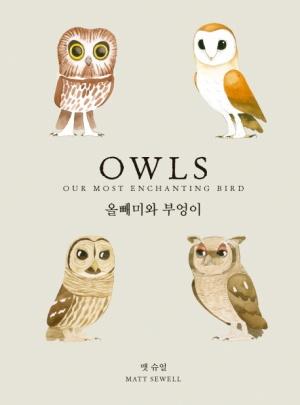  올빼미와 부엉이