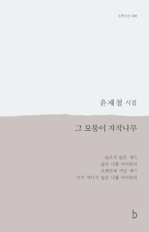  그 모퉁이 자작나무
