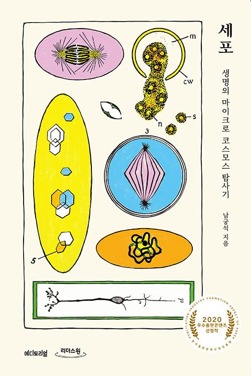  [큰글자도서] 세포, 생명의 마이크로 코스모스 탐사기