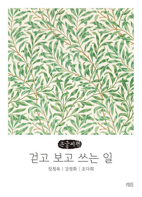  [큰글씨책] 걷고 보고 쓰는 일