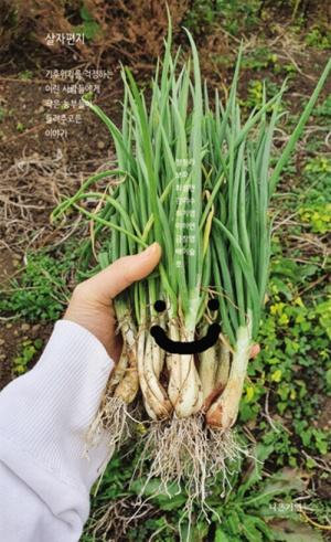  살자편지