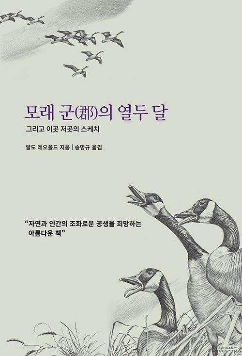  모래 군(郡)의 열두 달
