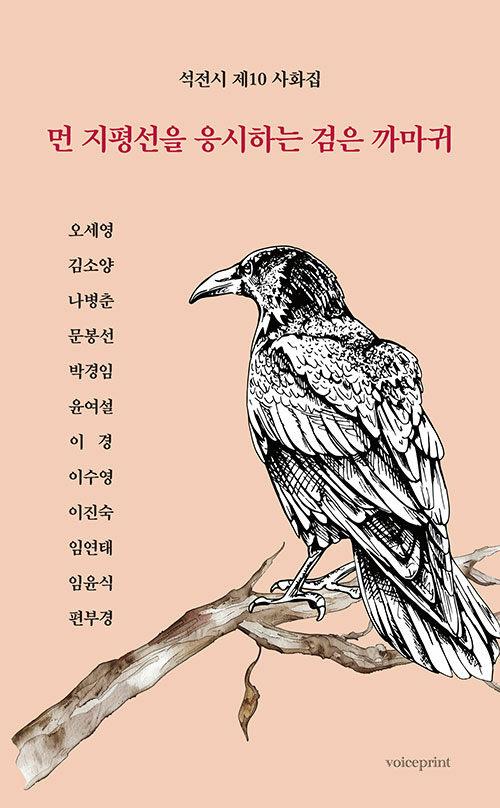  먼 지평선을 응시하는 검은 까마귀