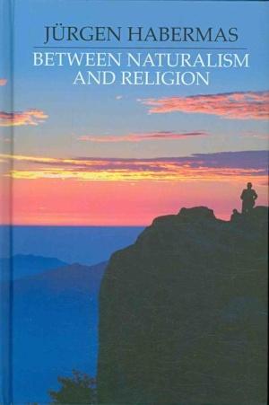 Between Naturalism and Religion : Philosophical Essays