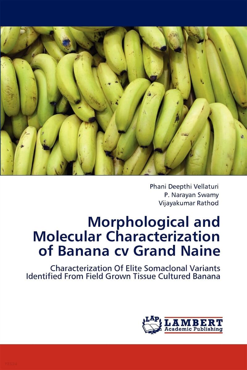 Morphological and Molecular Characterization of Banana <span class='bold-title'>cv</span> Grand Naine (Paperback)