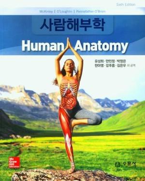 사람해부학