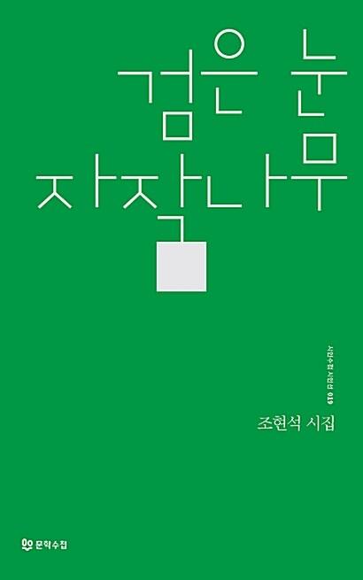 검은 눈 자작나무